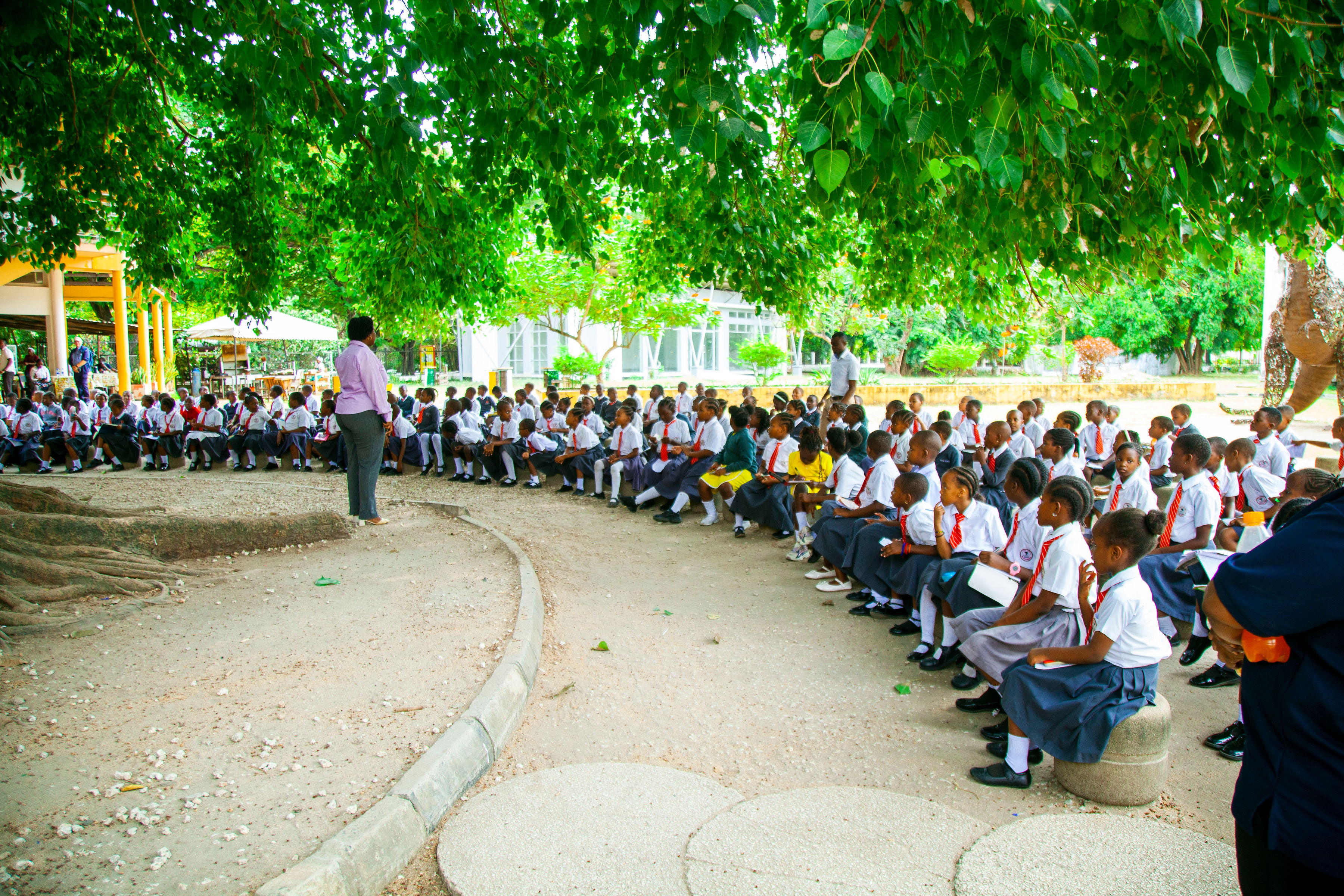 Primary School